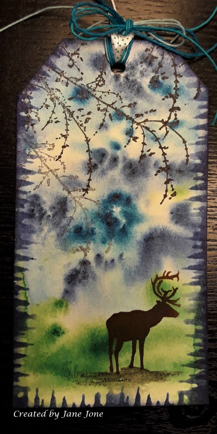 Magenta 11-13-18 (2)